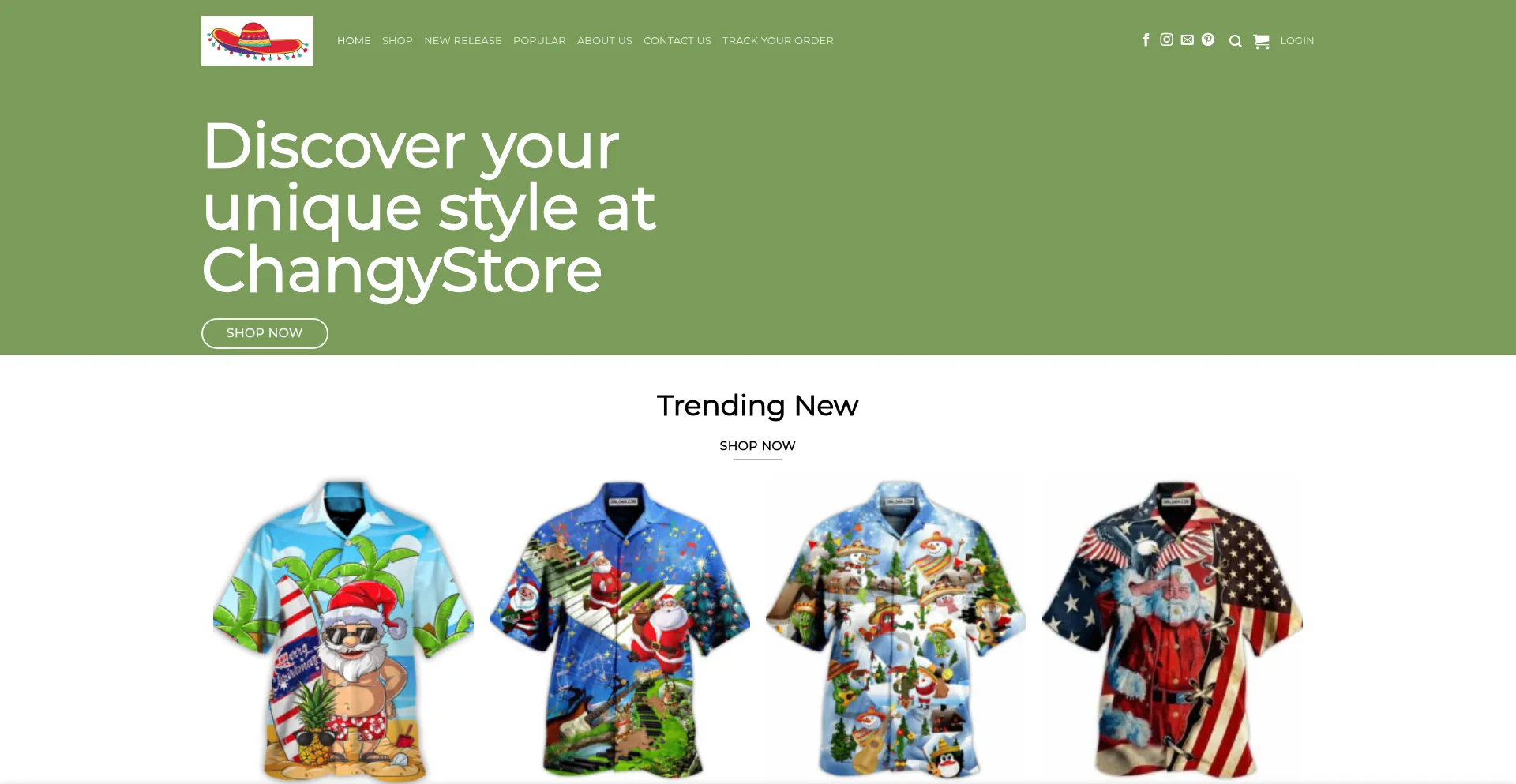 Website screenshot of Changystore.shop