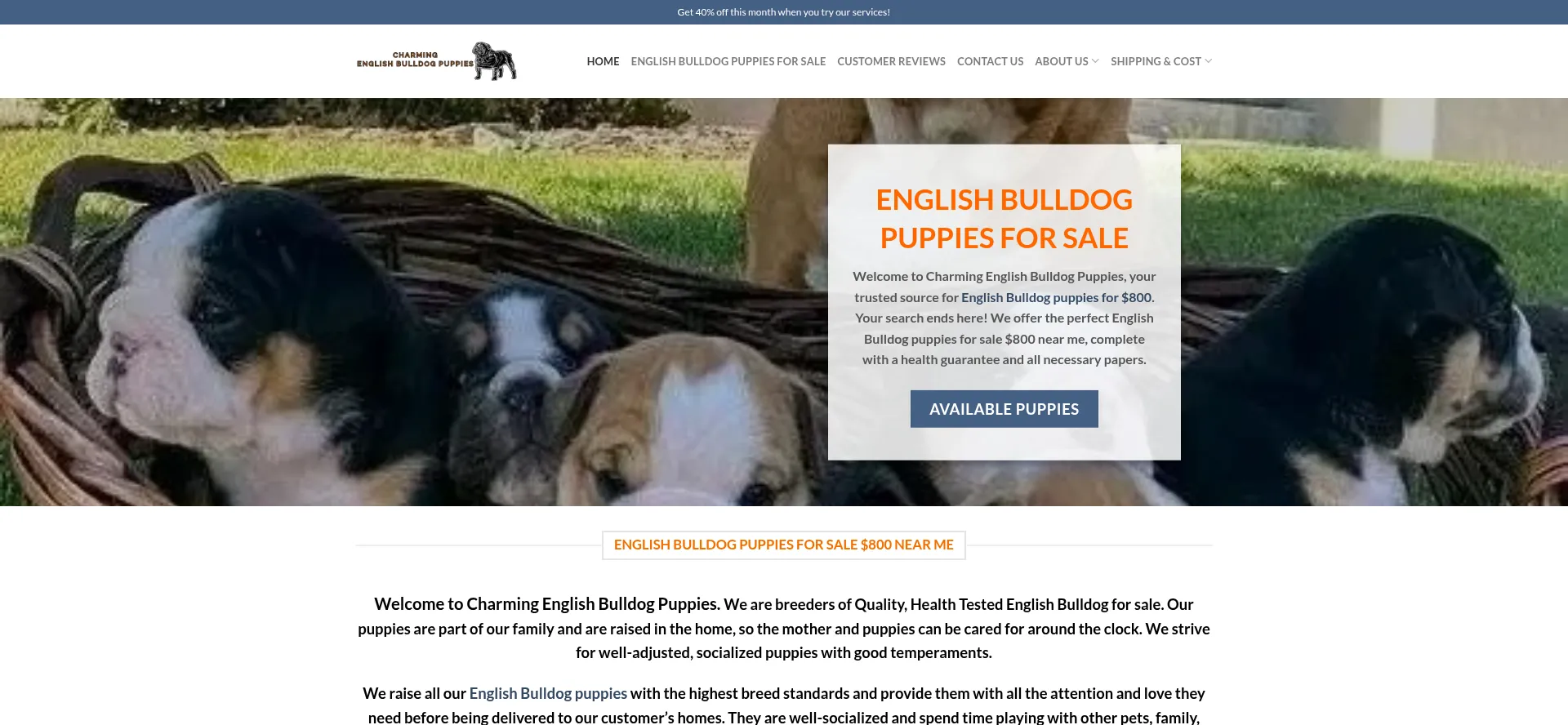 Charmingenglishbulldogpuppies.com