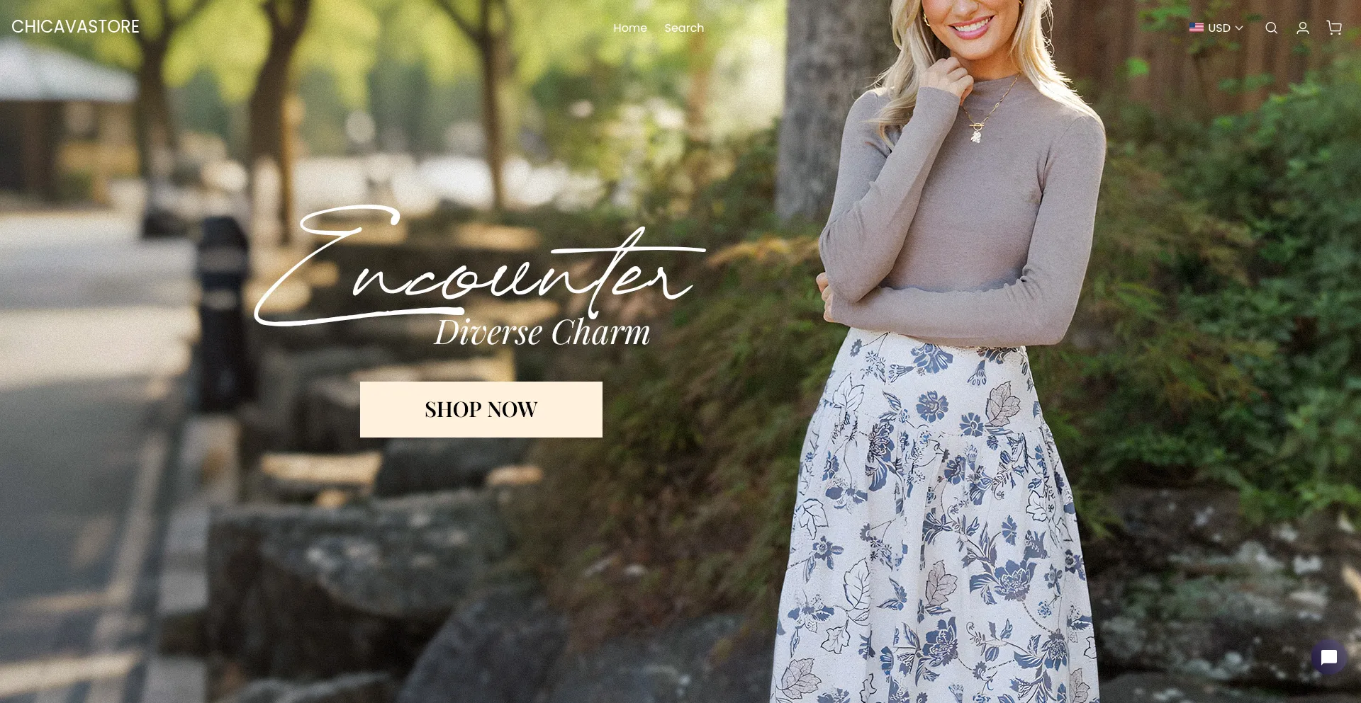Website screenshot of Chicavastore.com