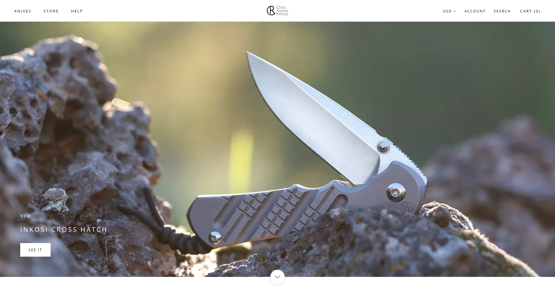Chrisreeve.com