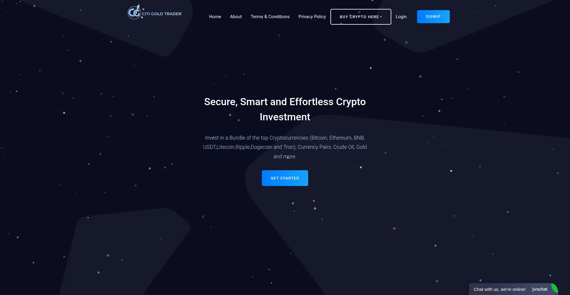 Website screenshot of Citigold-trader.online