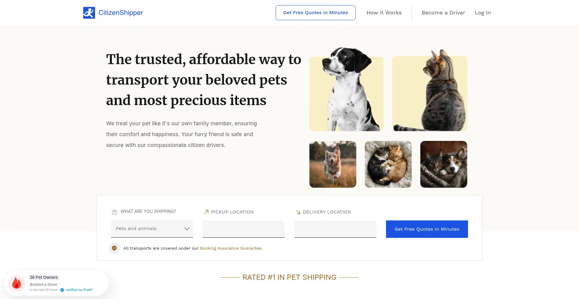 Website screenshot of Citizenshipper.com
