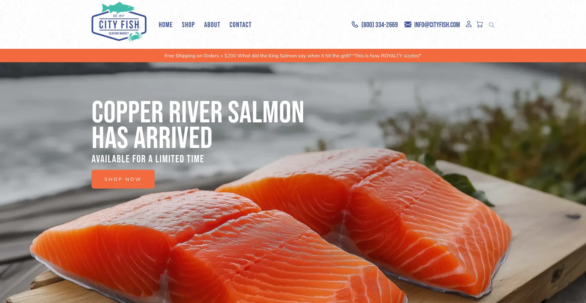 Website screenshot of Cityfish.com