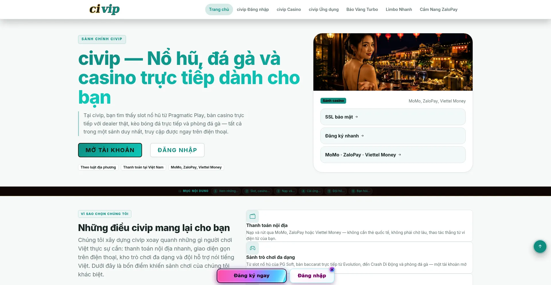 Civip.pro