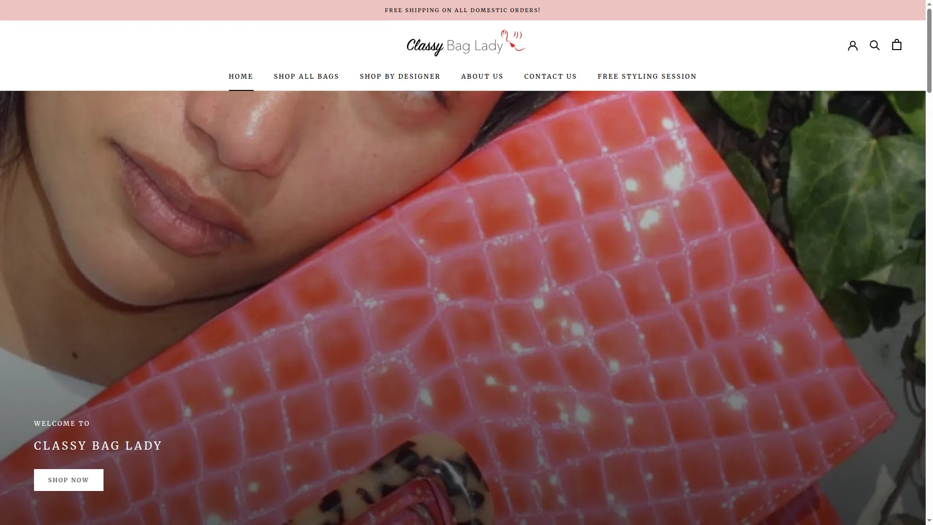 Classybaglady.com