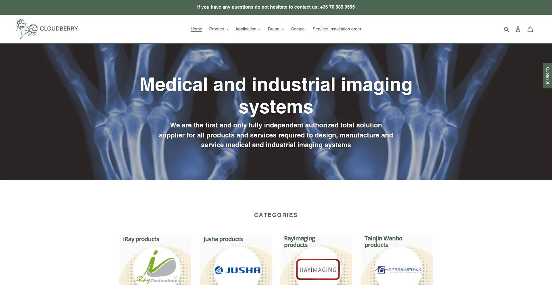Website screenshot of Cloudberryinternational.com
