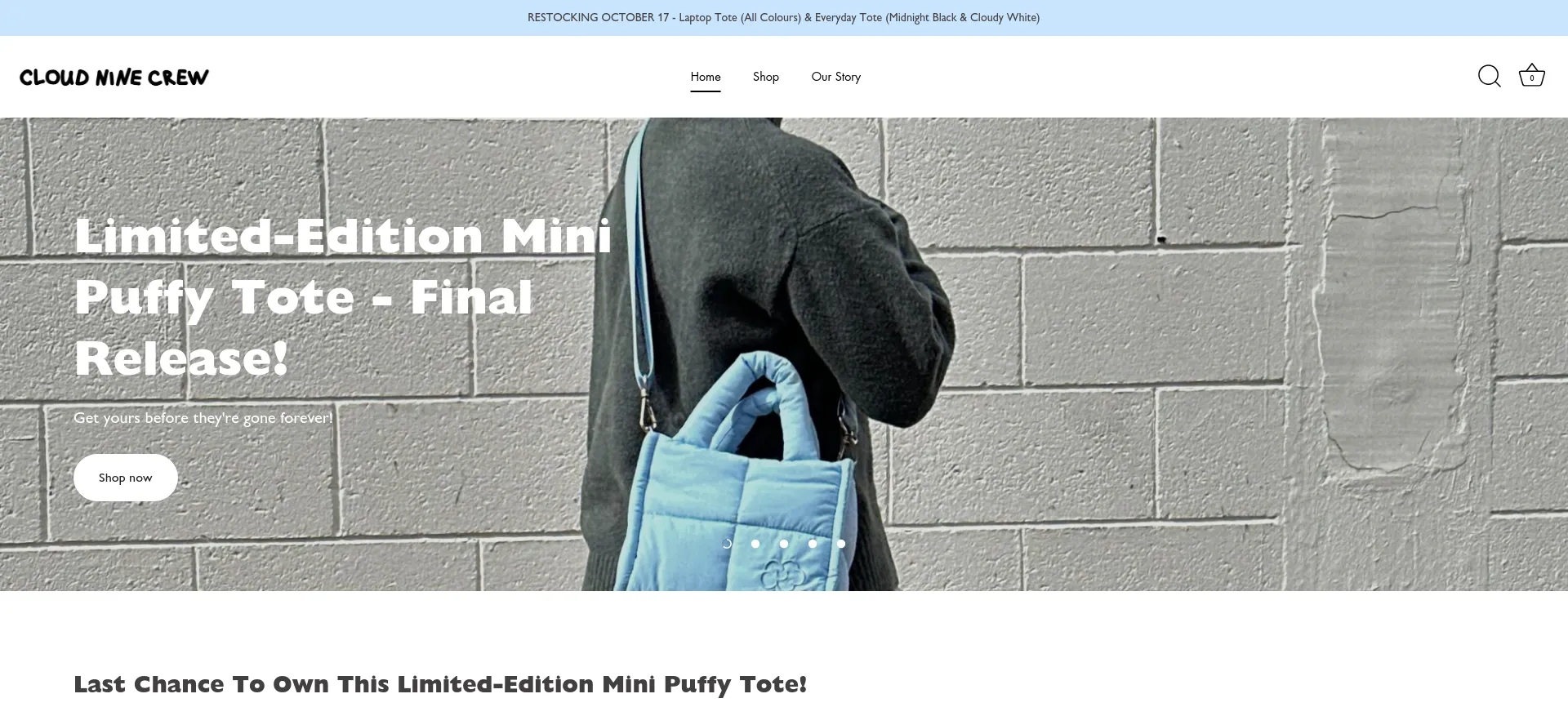 Website screenshot of Cloudninecrew.com