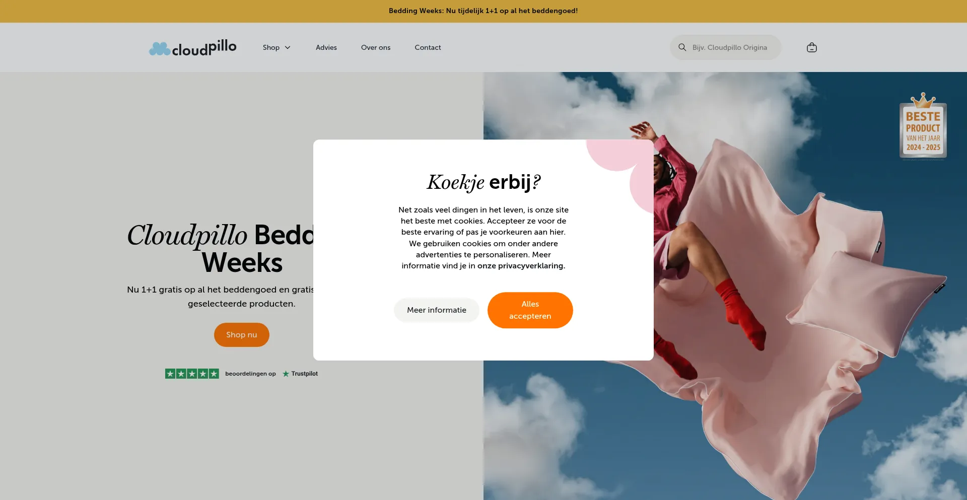 Website screenshot of Cloudpillow.nl