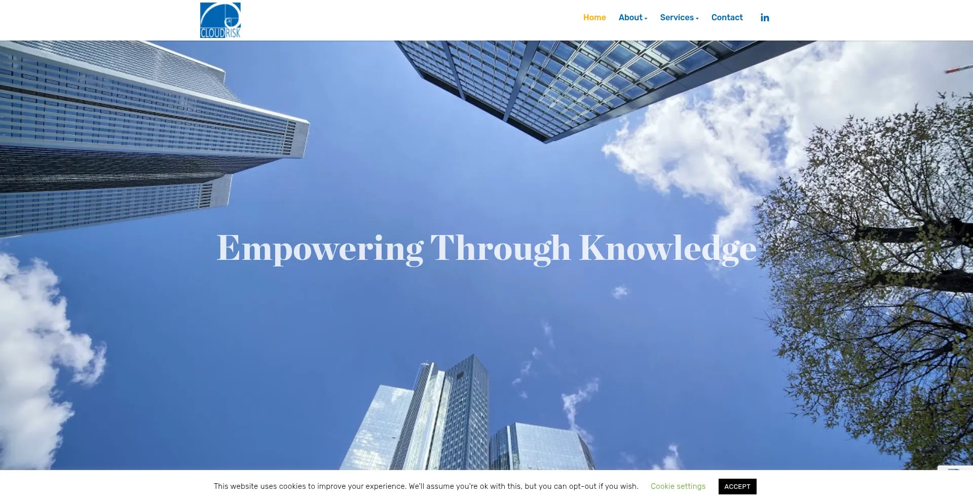 Website screenshot of Cloudrisk.uk