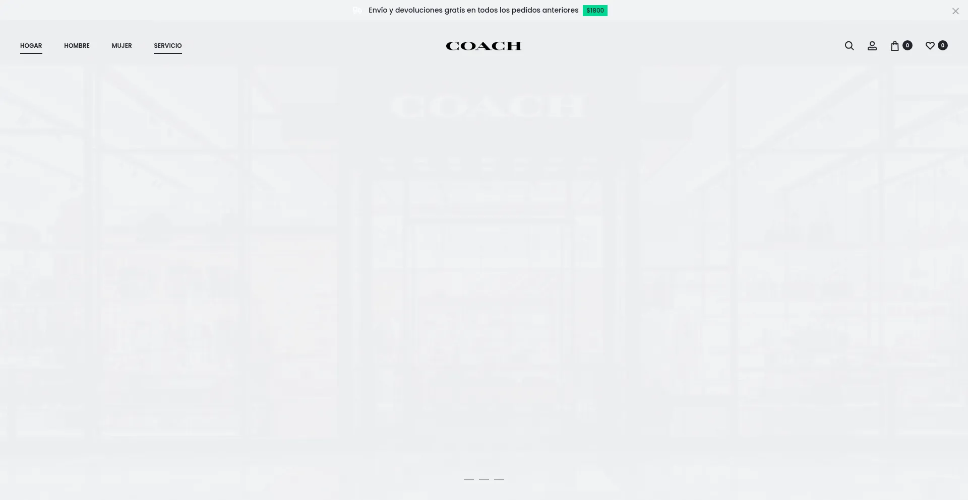 Coach-mexico.com.mx