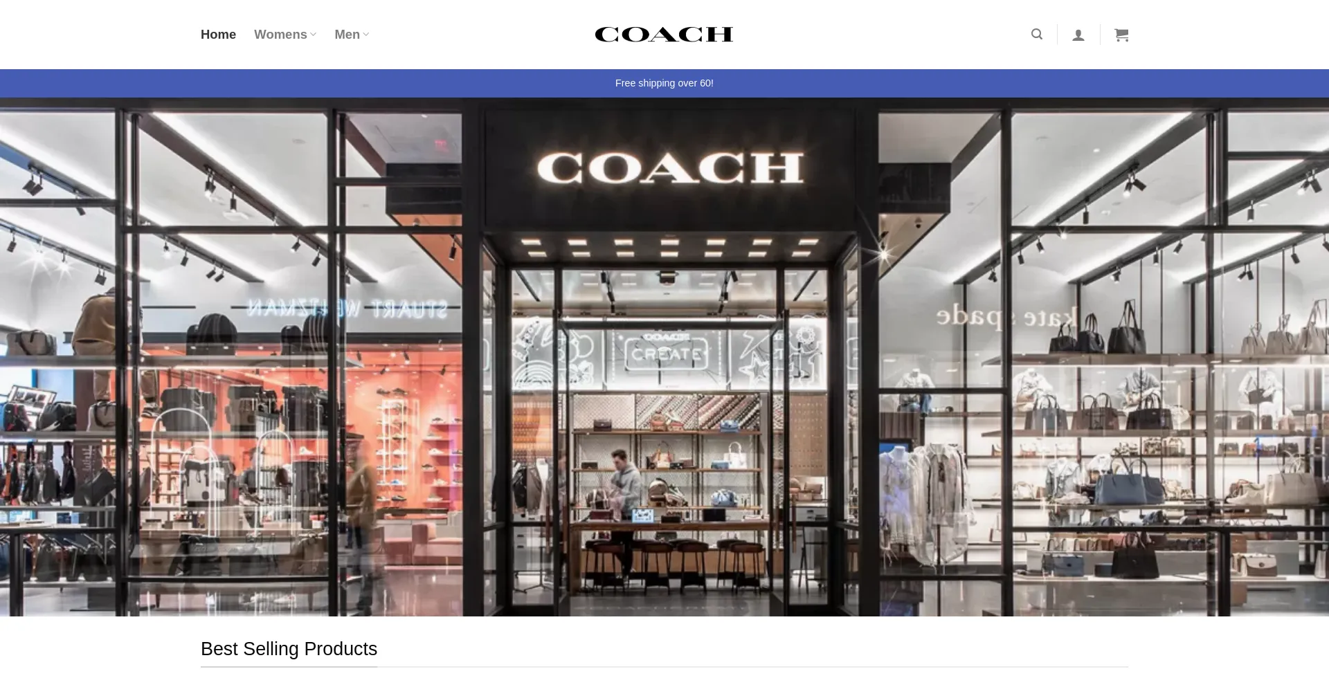 Website screenshot of Coachusaoutlet.us
