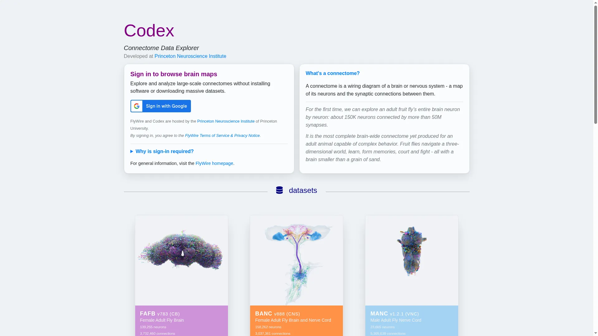 Codex.flywire.ai