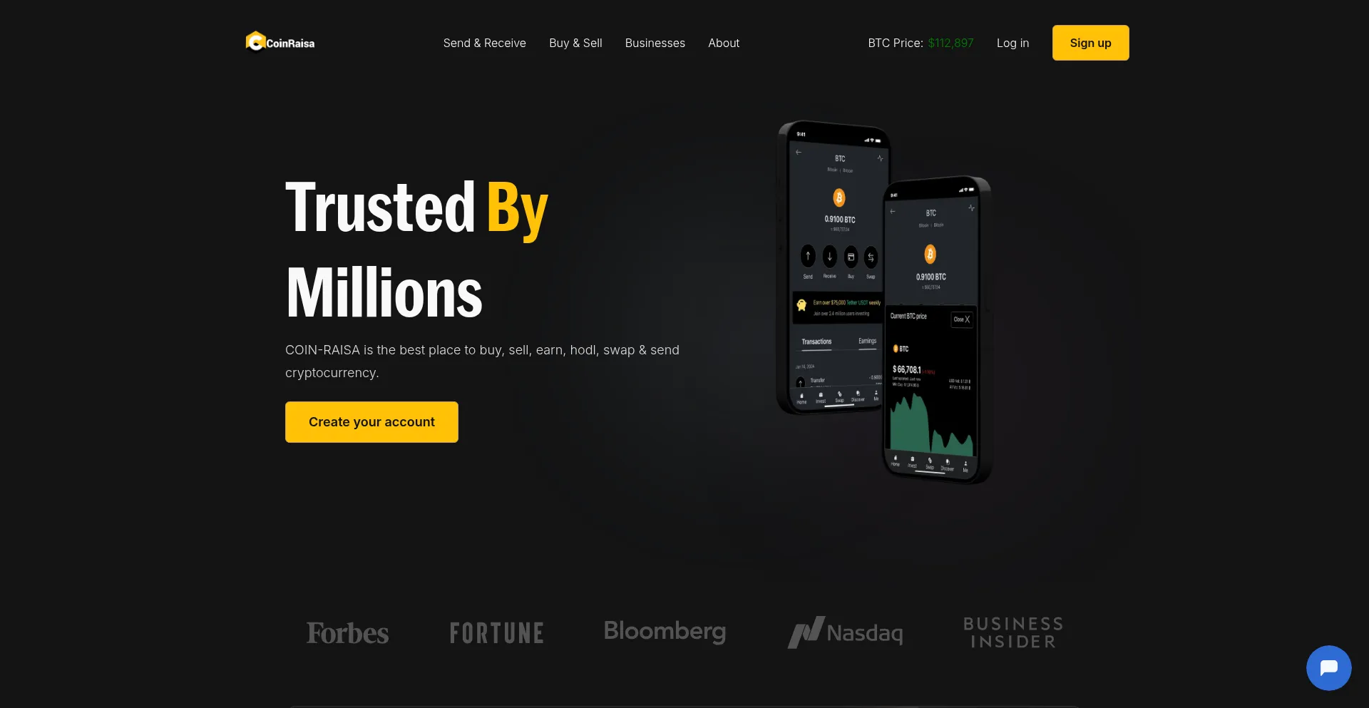 Website screenshot of Coinraisa.com