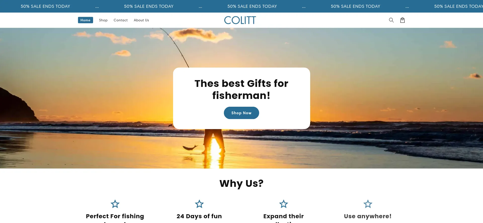 Website screenshot of Colitt.com