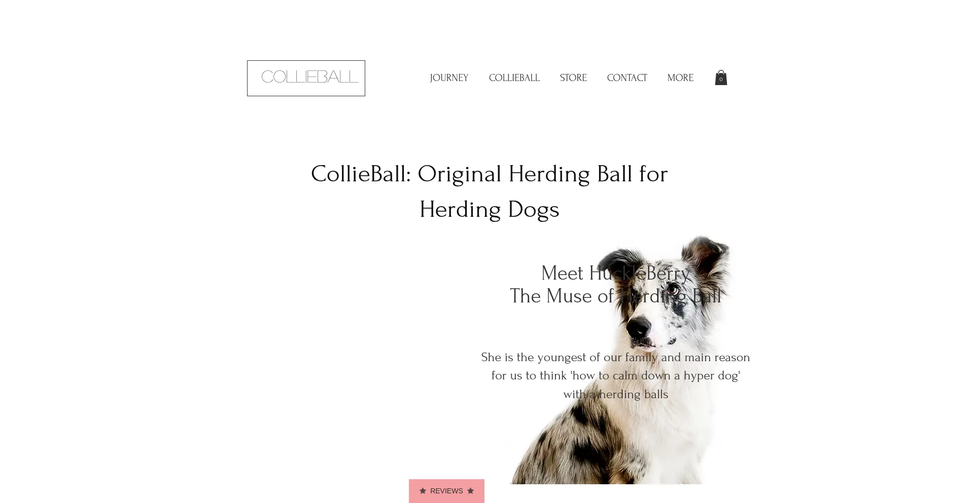 Website screenshot of Collieball.com