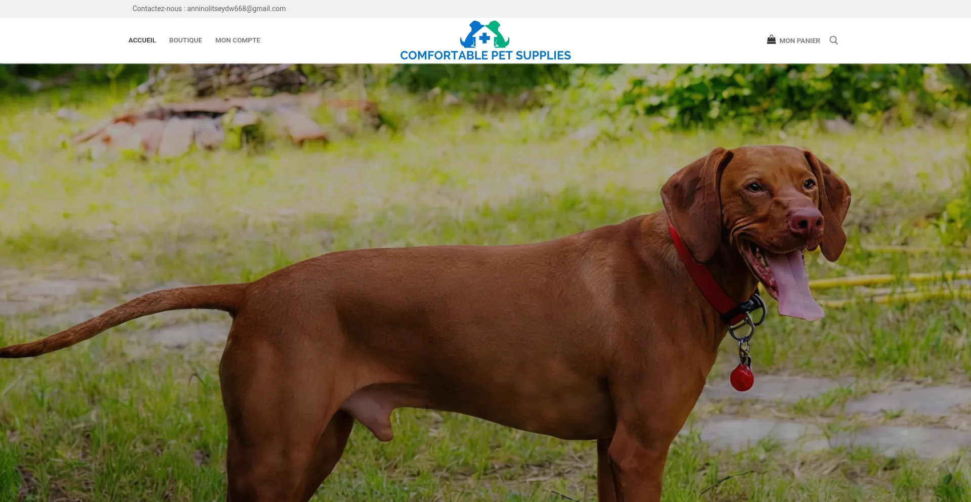 Comfortablepetsupplies.com