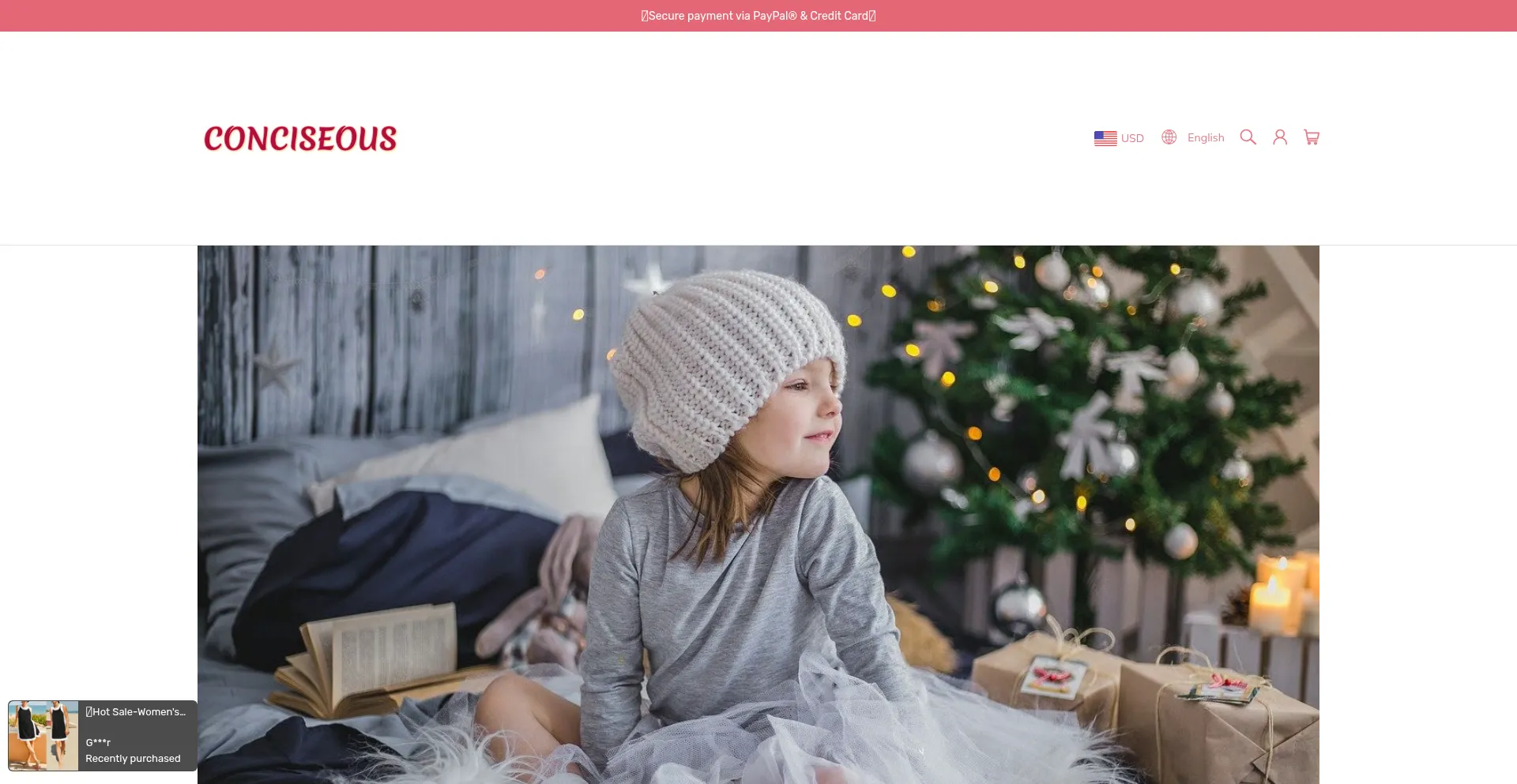 Website screenshot of Conciseous.com