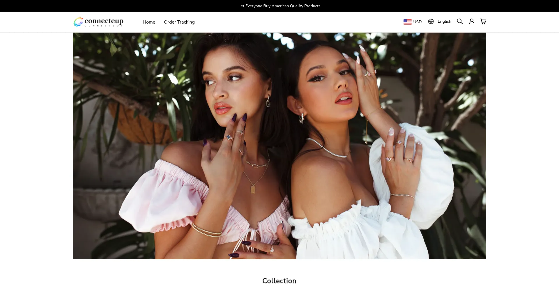 Website screenshot of Connecteup.com