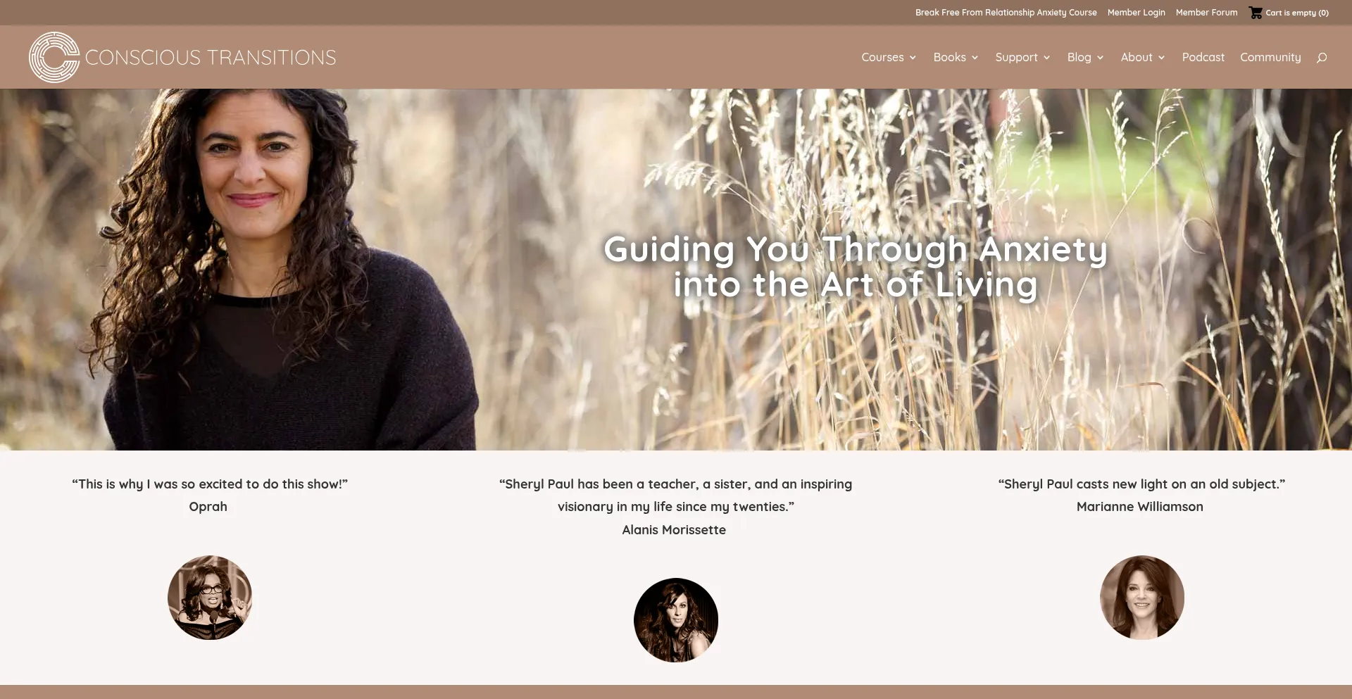 Website screenshot of Conscious-transitions.com