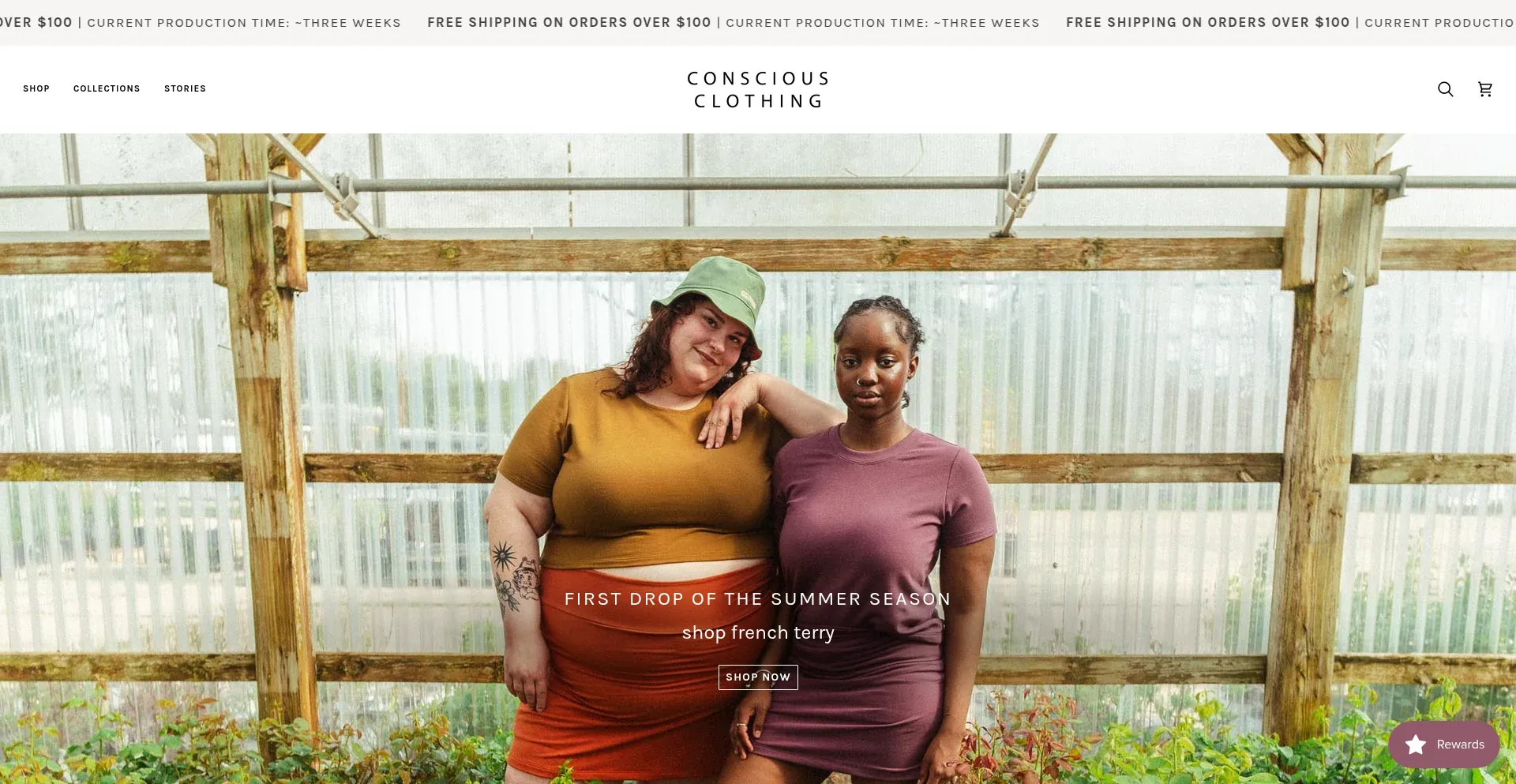 Website screenshot of Consciousclothing.net
