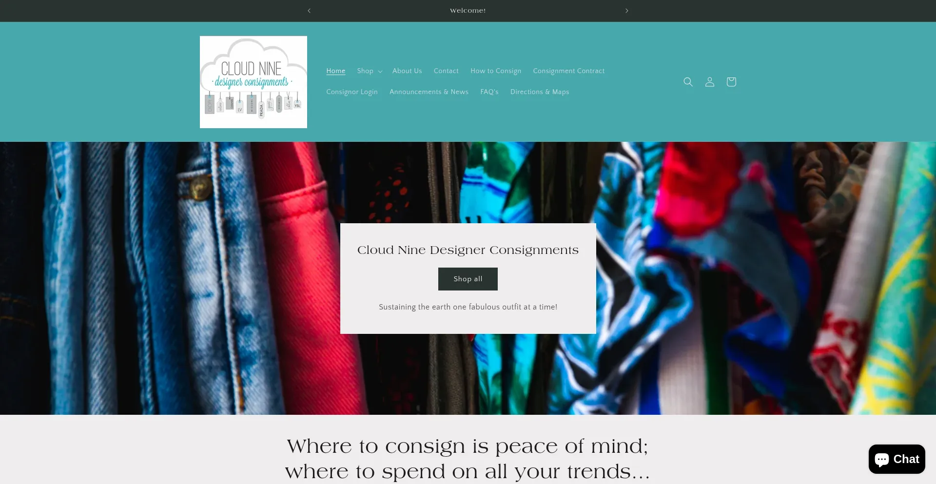 Website screenshot of Consigncloud9.com