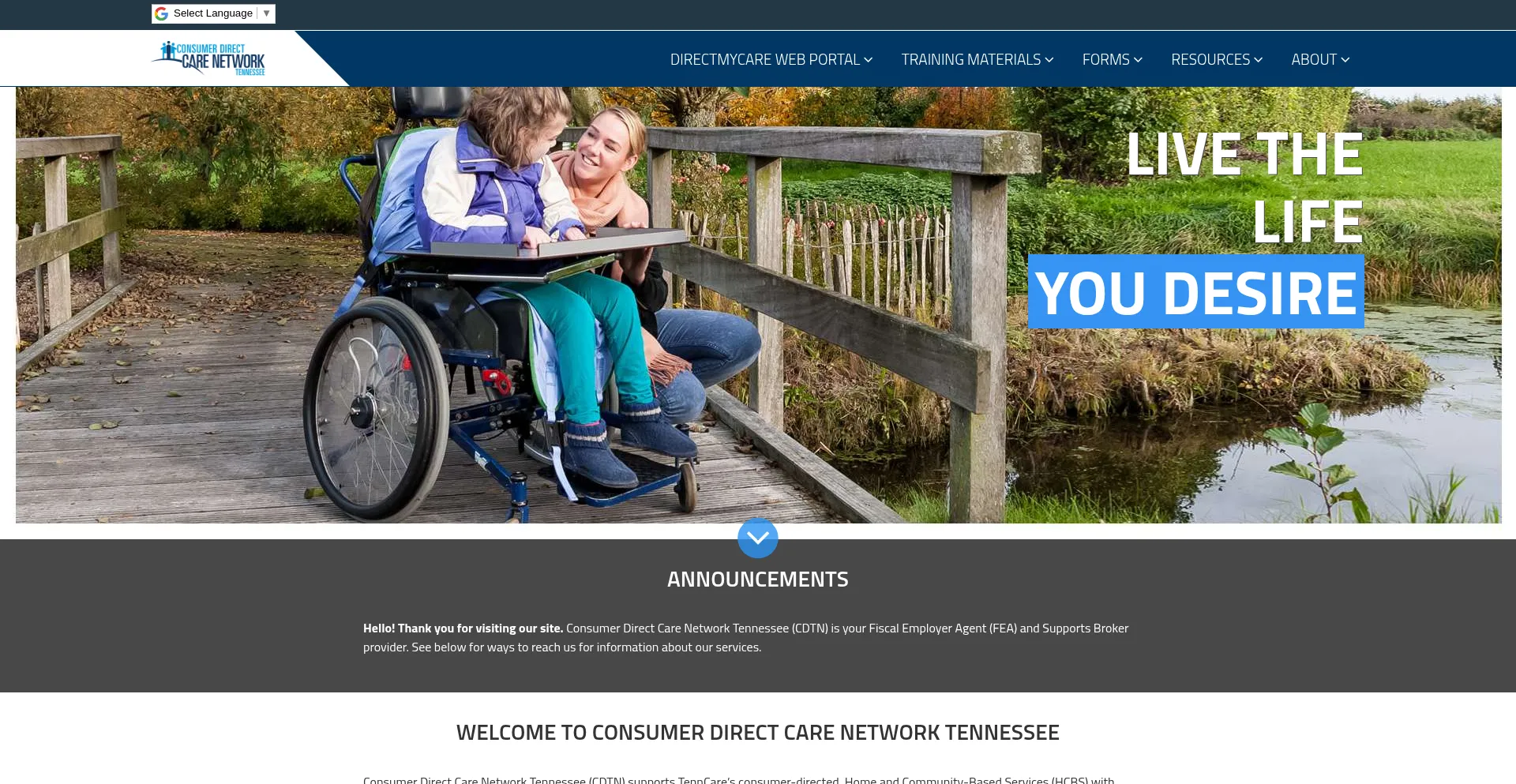 Website screenshot of Consumerdirecttn.com
