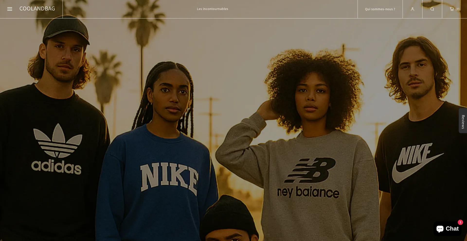 Website screenshot of Coolandbag.com