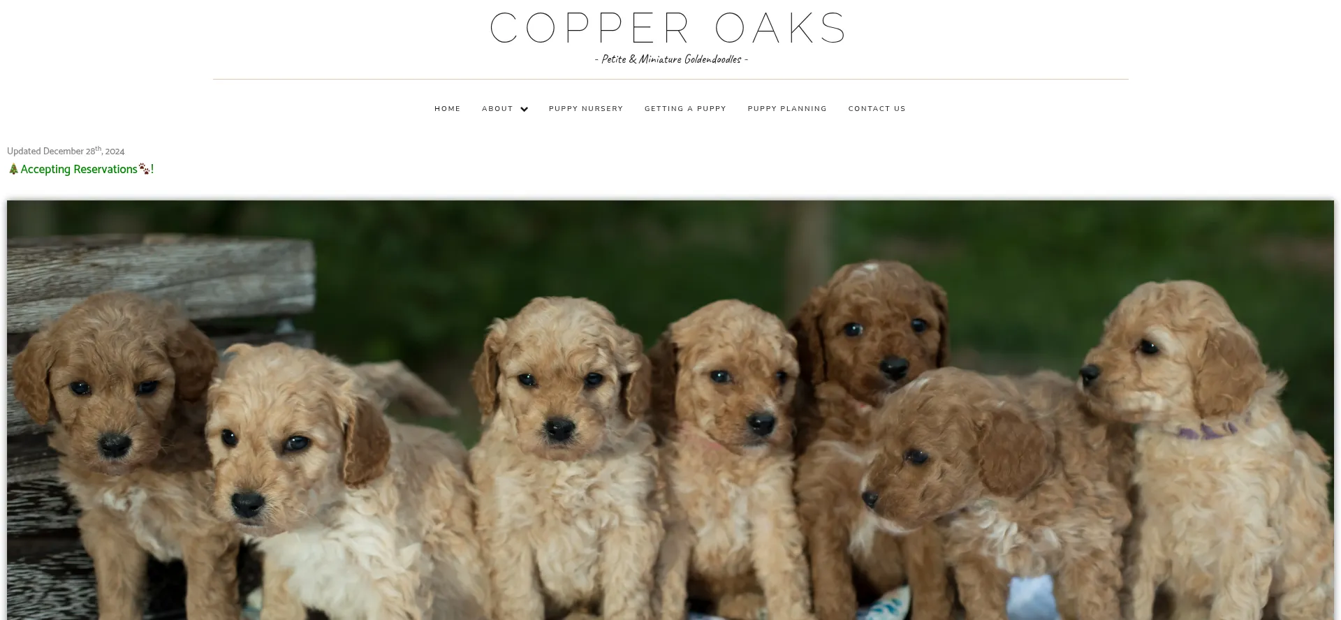 Copperoaksgoldendoodles.com