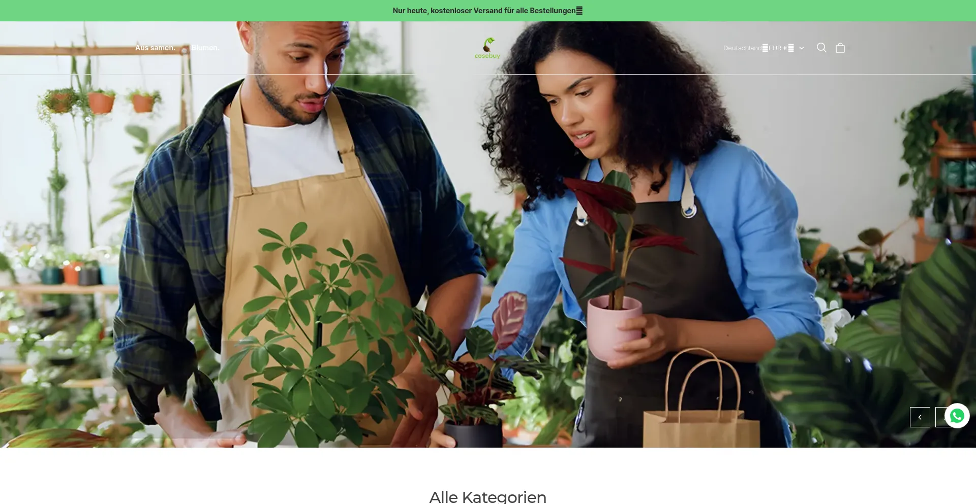 Website screenshot of Cosebuy.com