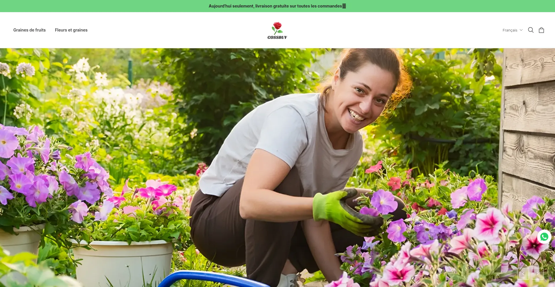 Website screenshot of Cossbuy.com
