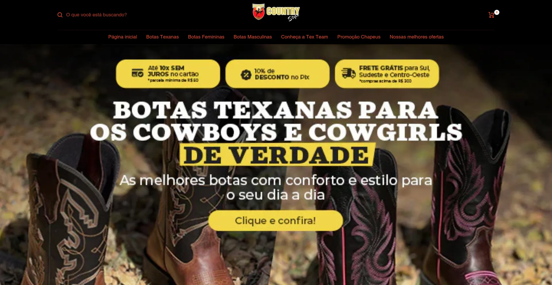 Website screenshot of Countrystyleebrasil.com