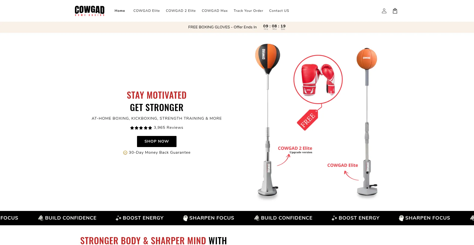 Website screenshot of Cowgad.com