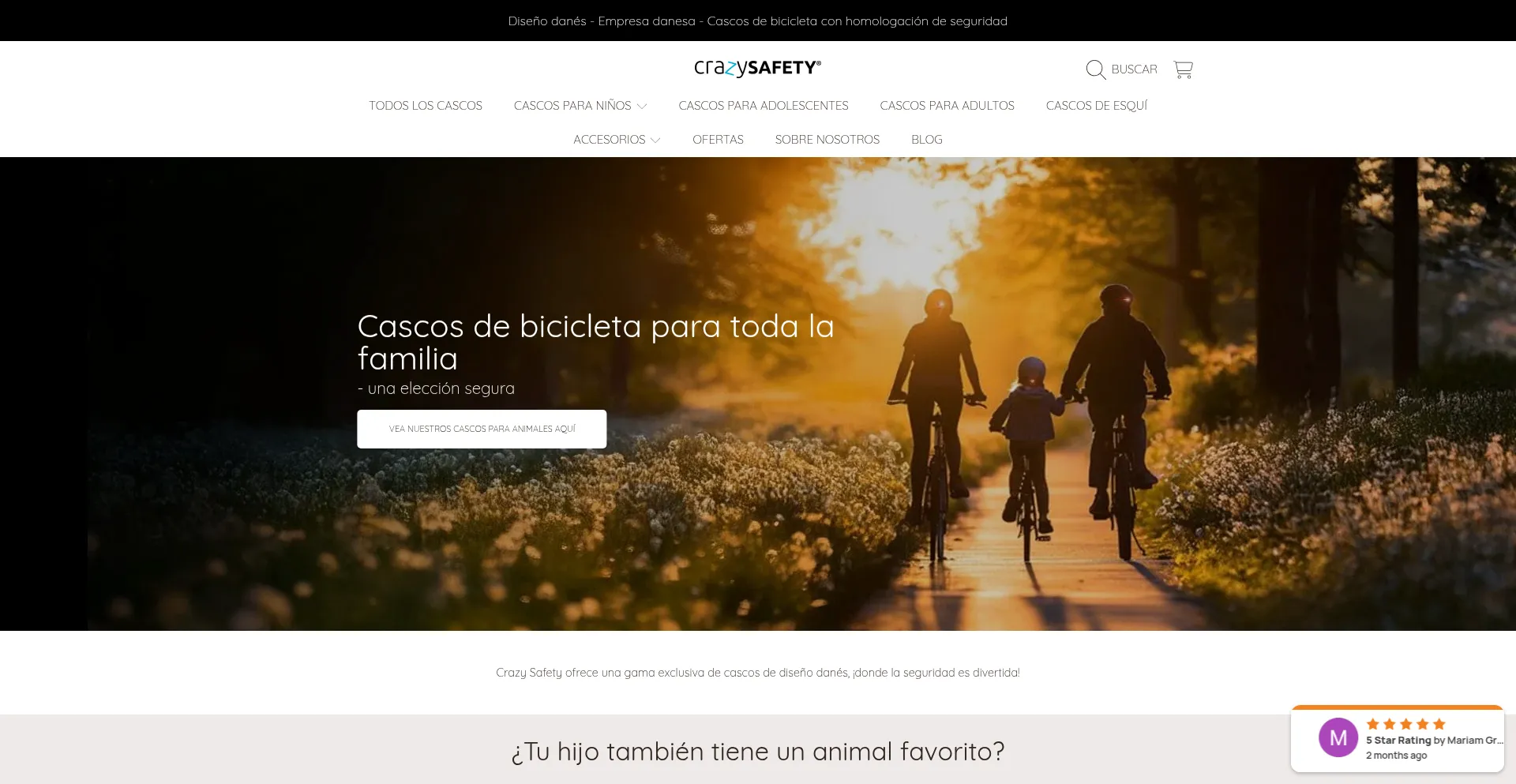 Website screenshot of Crazysafety.es