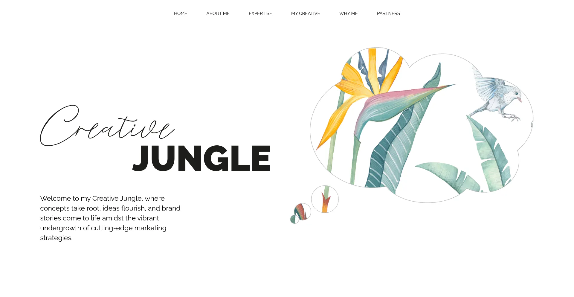 Creativejungle.online