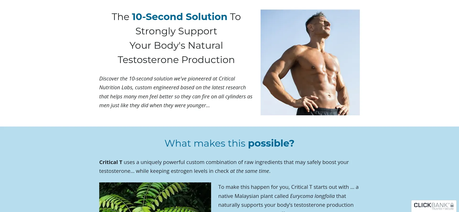 Website screenshot of Criticaltboost.com