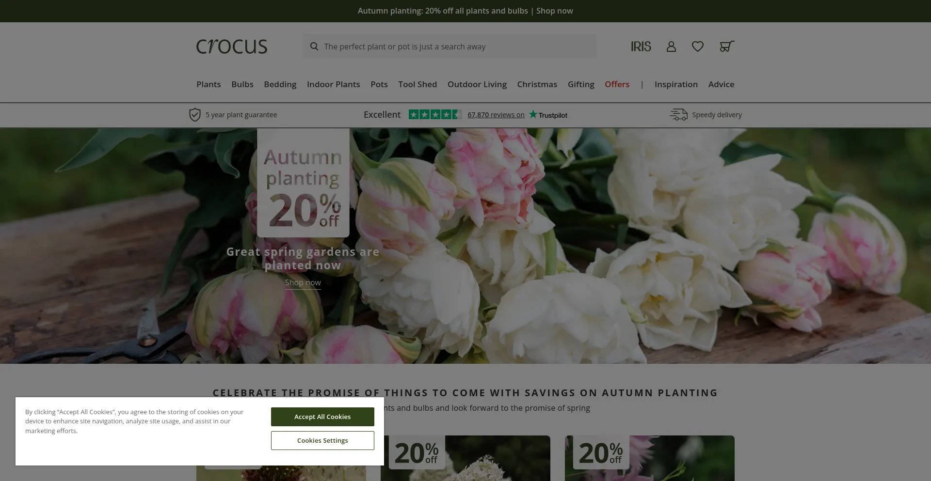 Crocus.co.uk