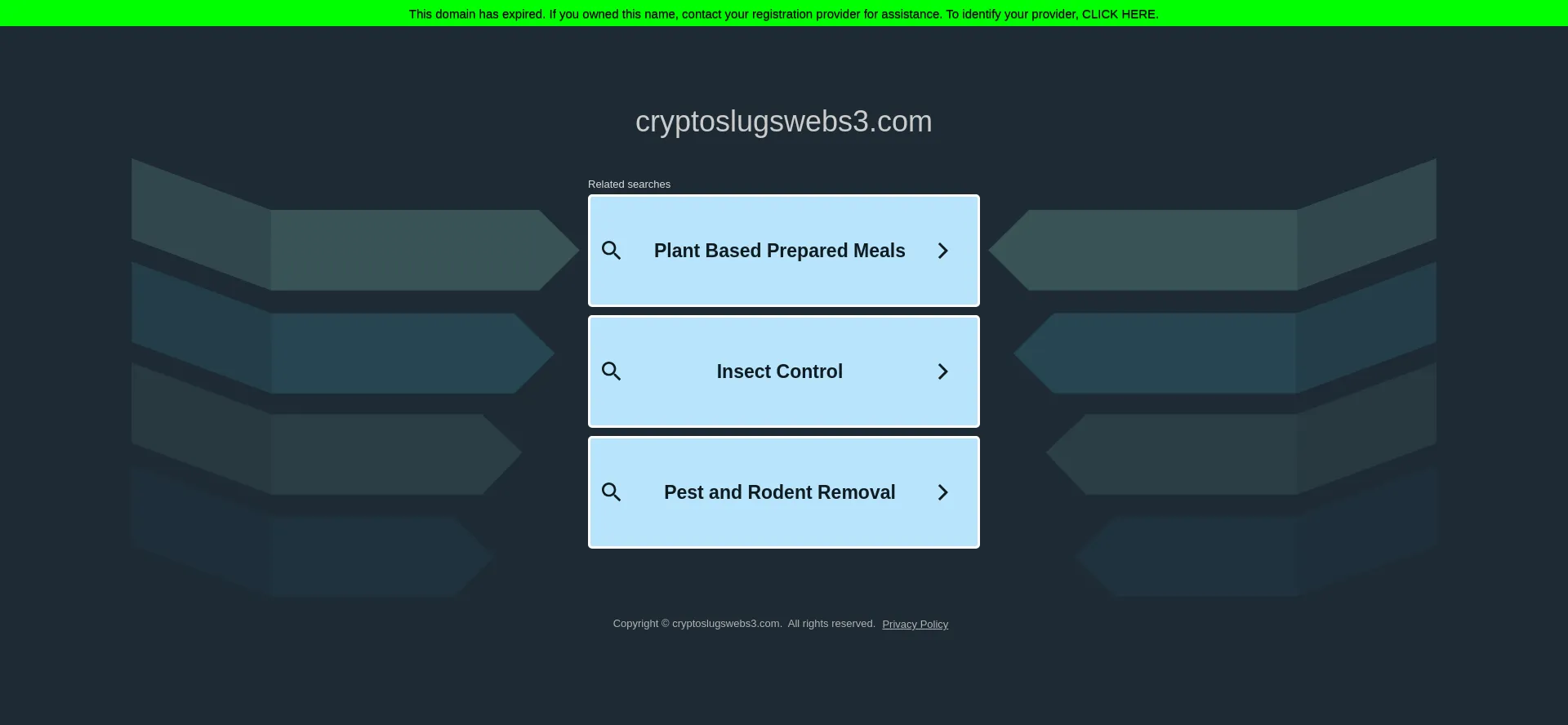 Cryptoslugswebs3.com