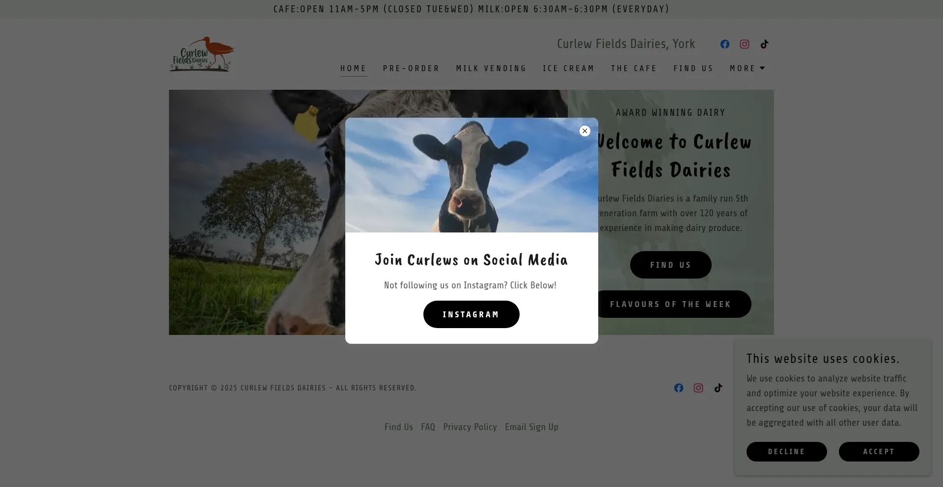 Website screenshot of Curlewfields.co.uk