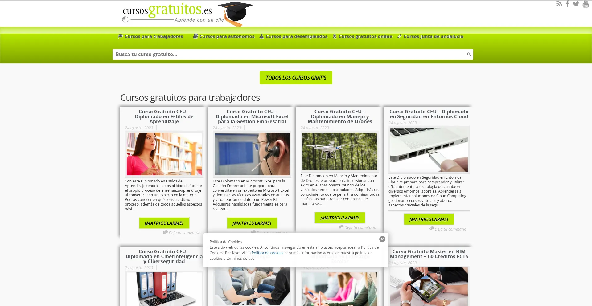 Website screenshot of Cursosgratuitos.es