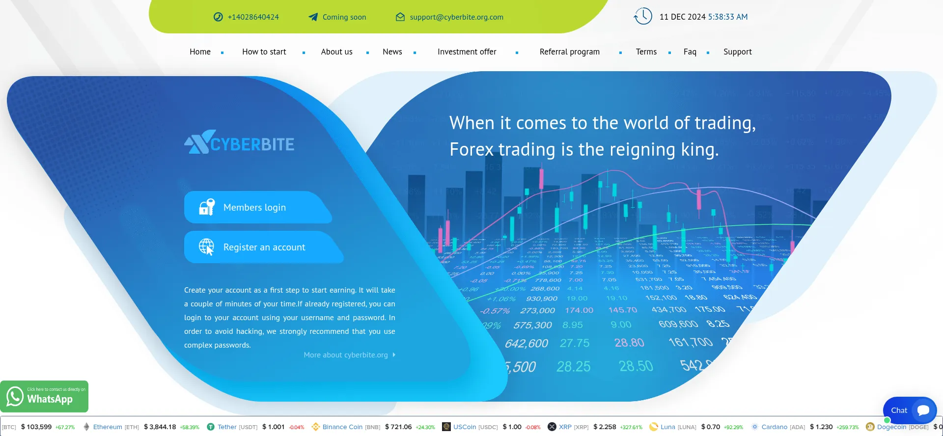 Website screenshot of Cyberbite.org