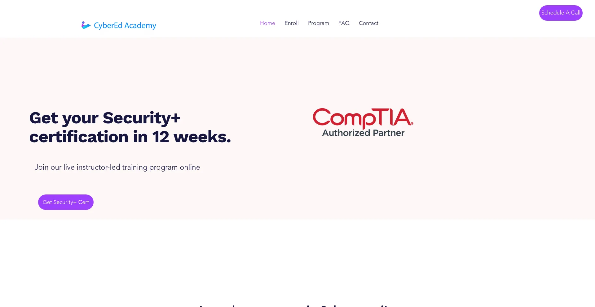 Website screenshot of Cyberedacademy.com