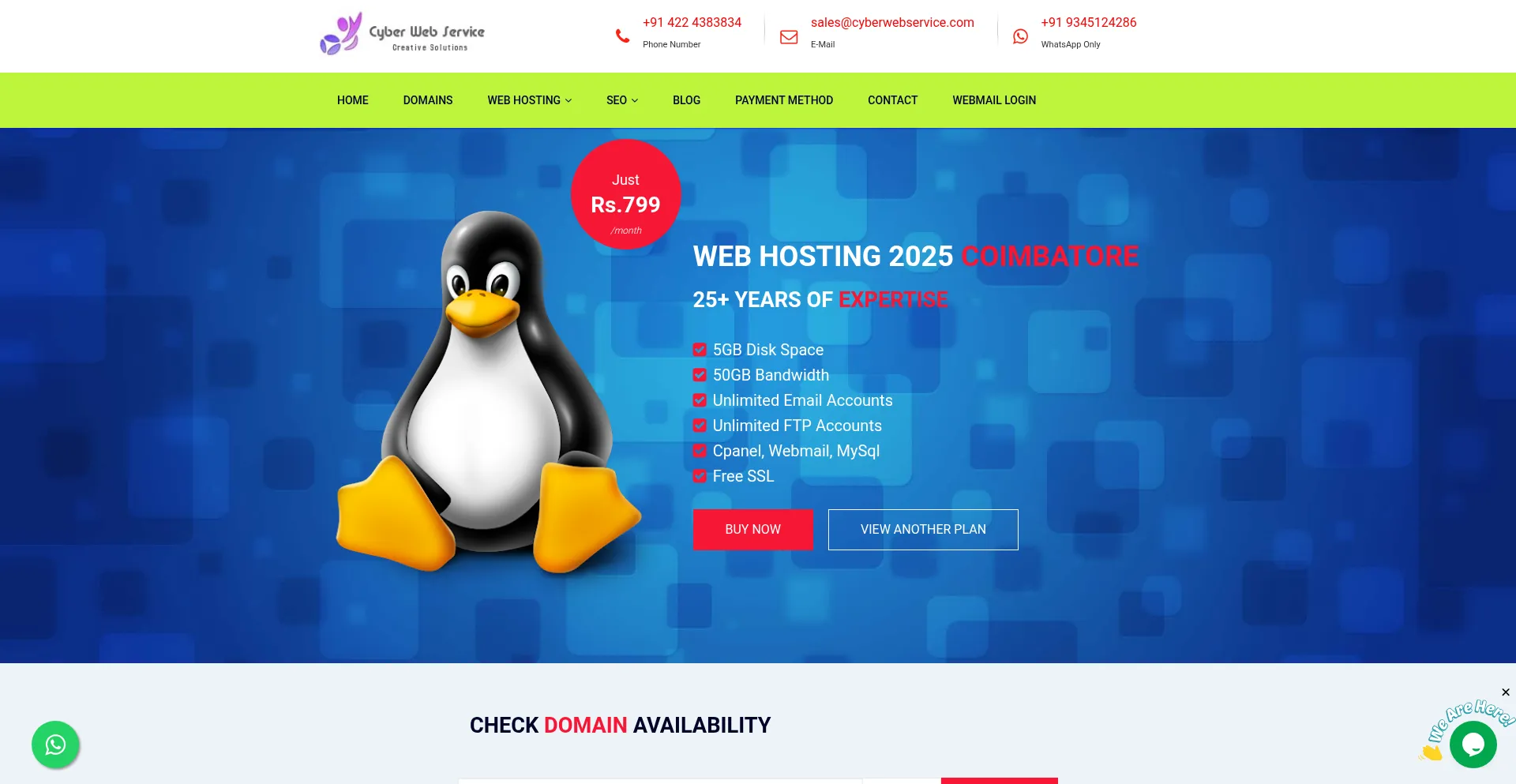 Website screenshot of Cyberwebservice.com