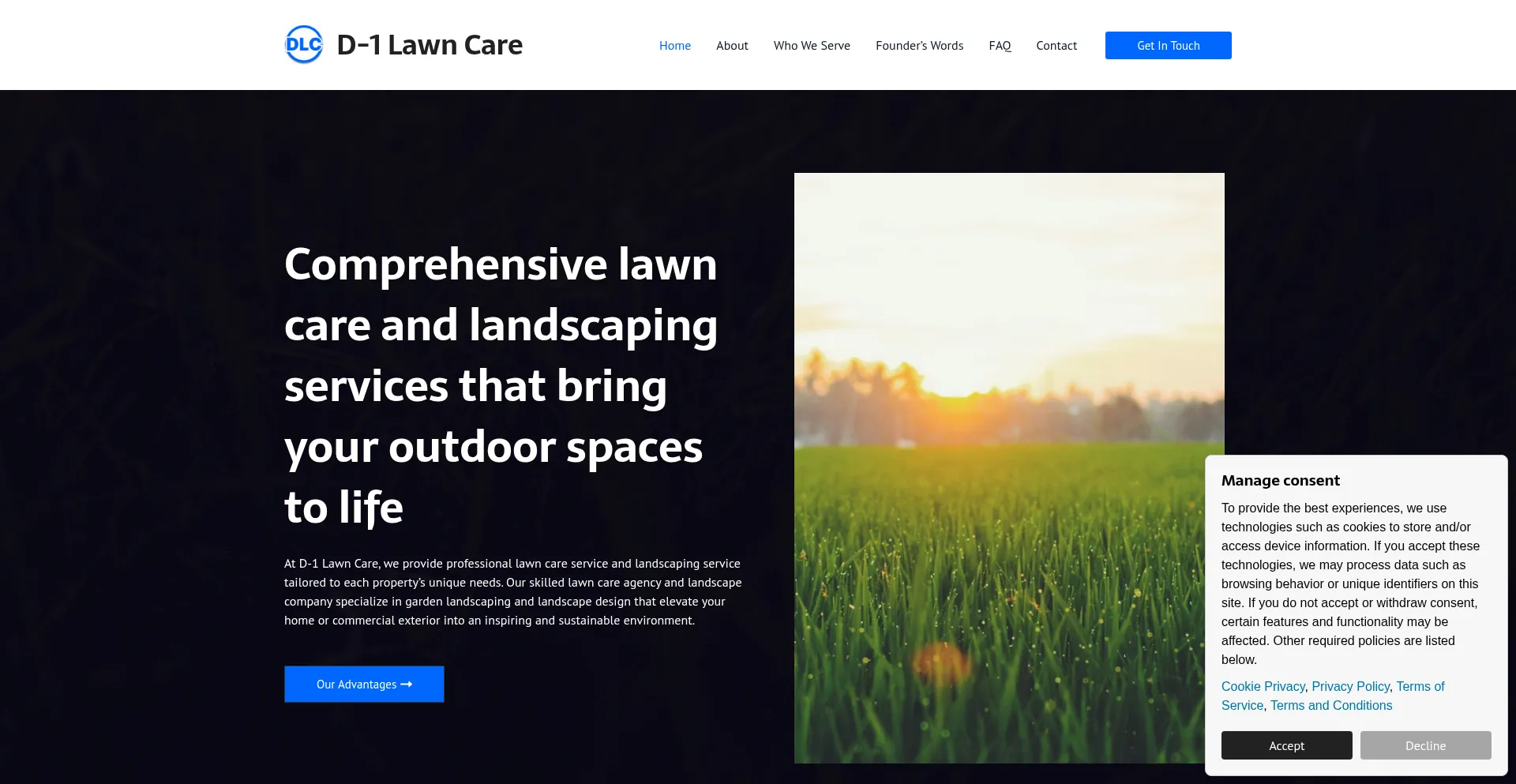 D-1lawncare.com
