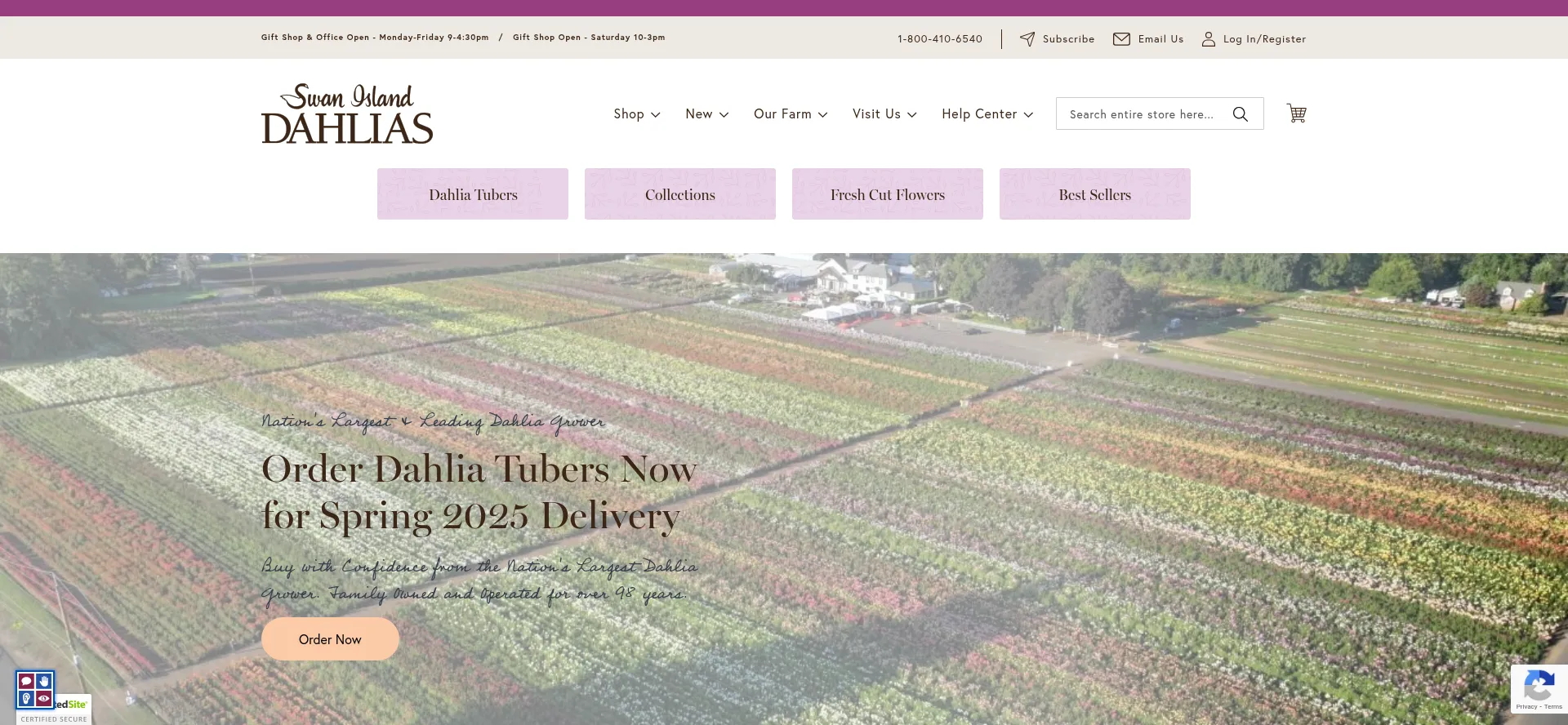 Dahlias.com