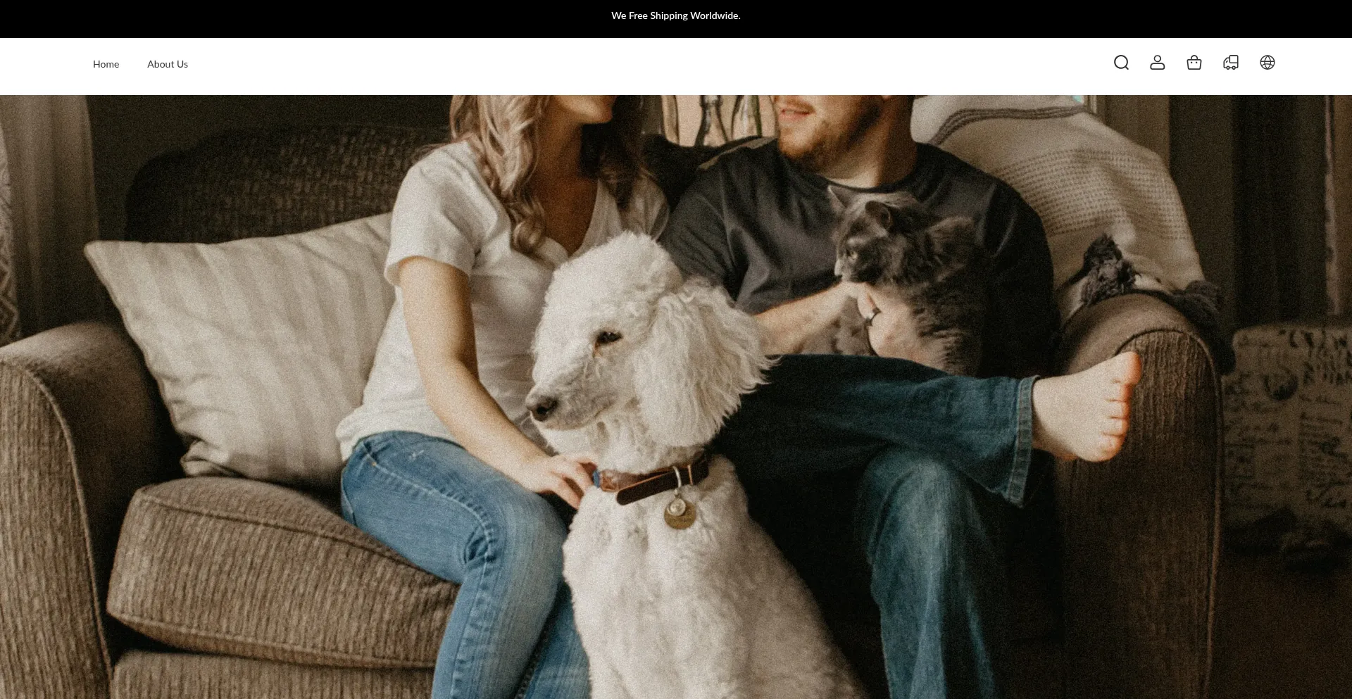 Website screenshot of Dailyfurnituresale.com