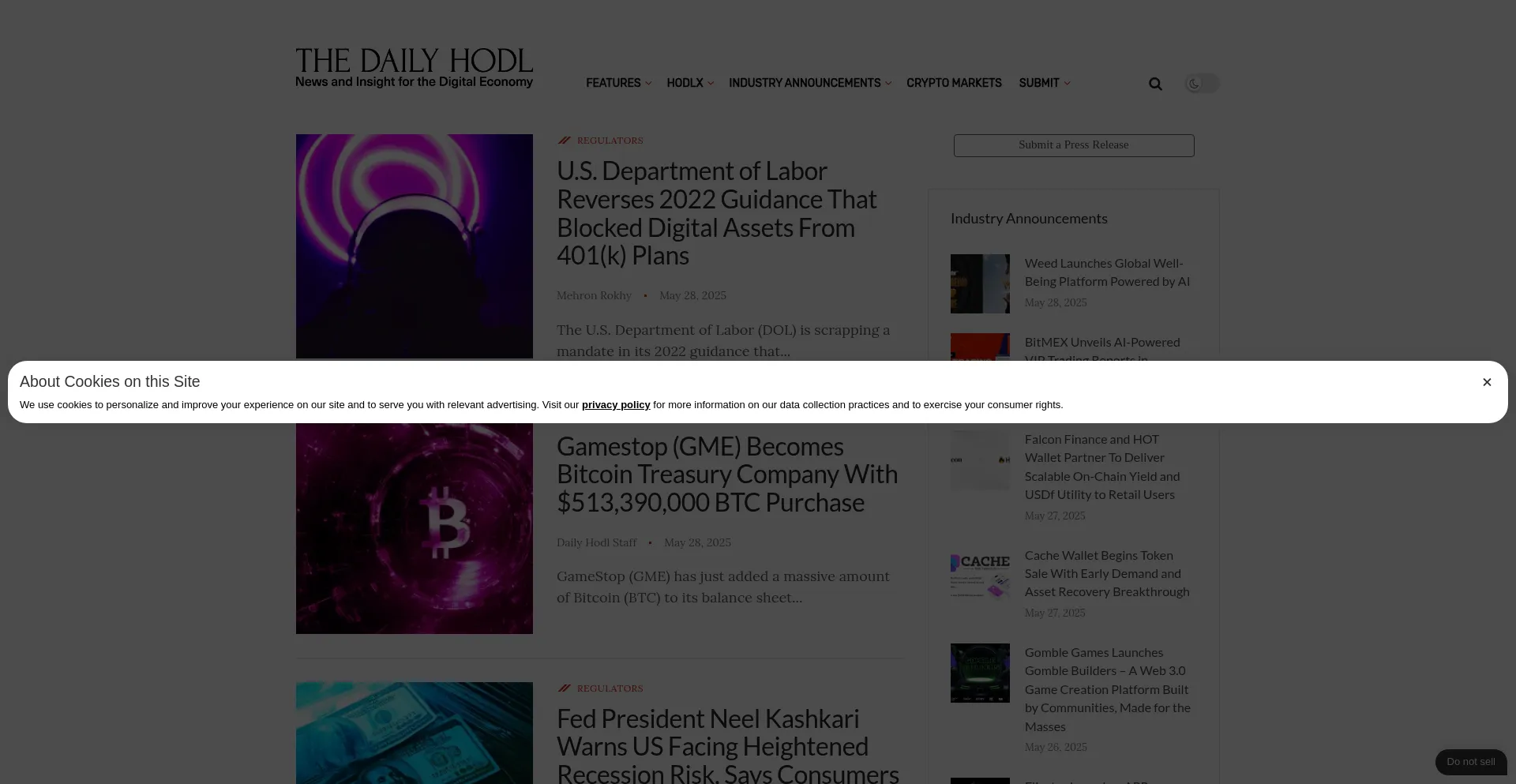 Website screenshot of Dailyhodl.com