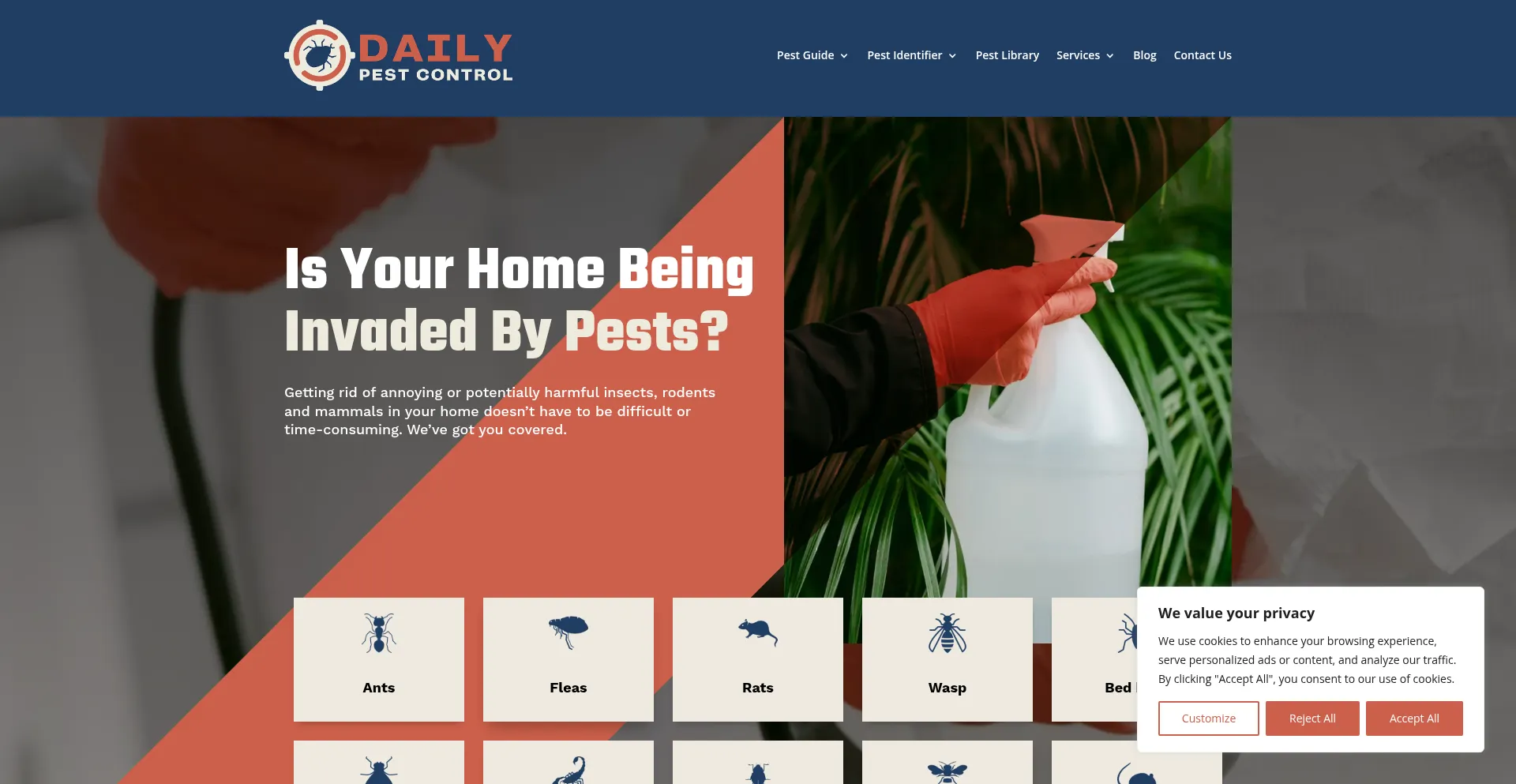 Website screenshot of Dailypest.com