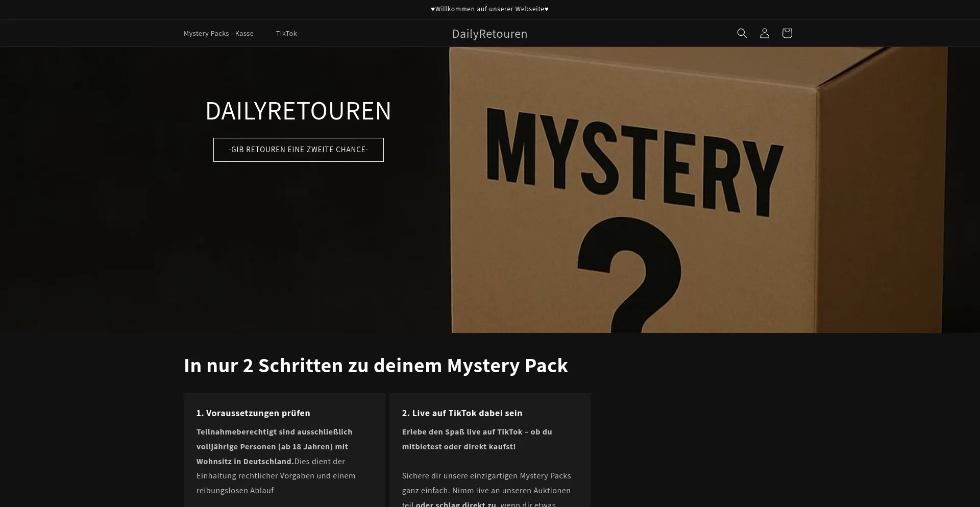 Website screenshot of Dailyretouren.de