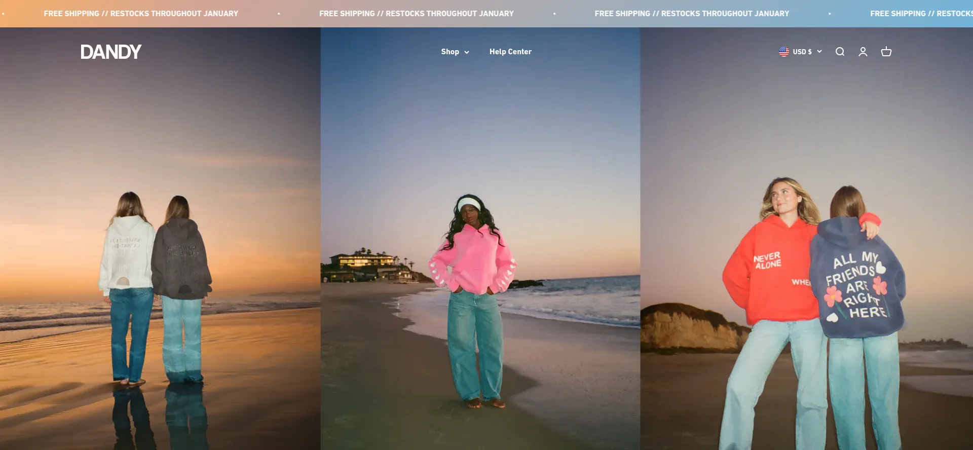 Website screenshot of Dandyworldwide.com