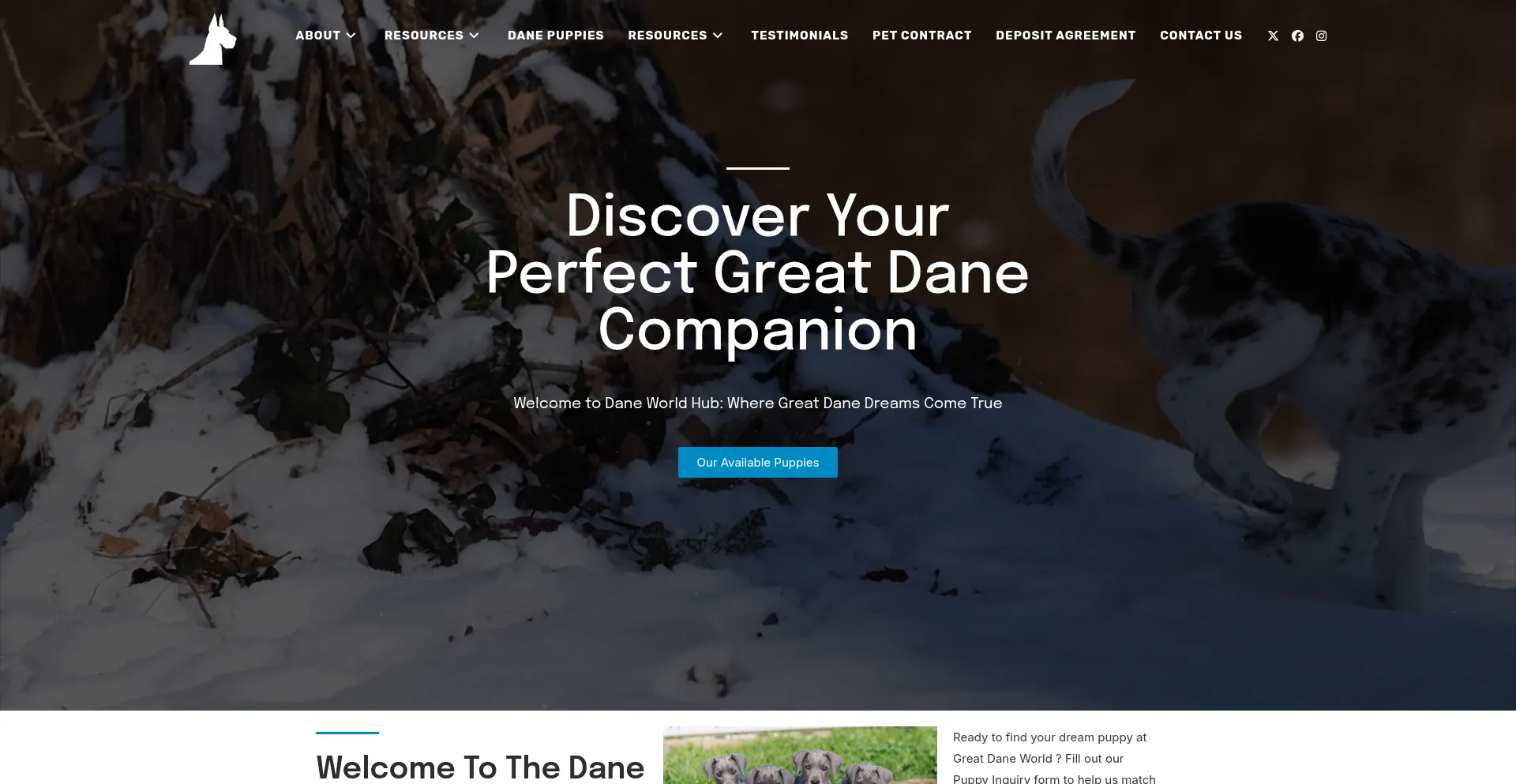Daneworldhub.com